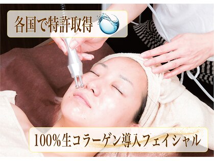 メイ(Mey)の写真