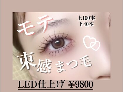 プリティアイ(pretty eye)の写真
