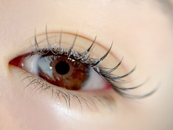 ベルアイラッシュ(Belleyelash)/【まつげエクステ】瑞江/まつげ