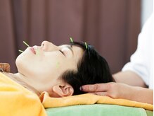 ふくろうの樹治療室/