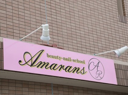 アマランス(Amarans)の写真