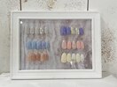 夏のトレンド定額プラン6種