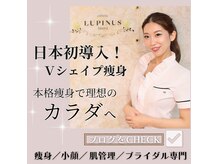 ルピナス ヒサヤ(LUPINUS hisaya)