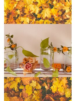 ミル ヴー(mille voeux)/内観3