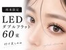 【再来限定】LEDダブルフラット60束 ※当店付け足しのみ