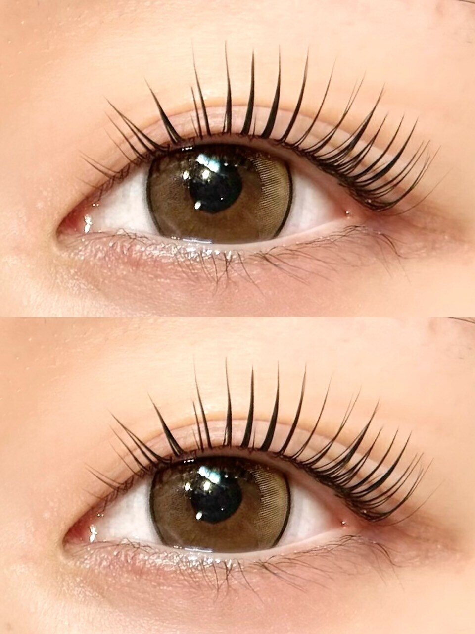 あけまつ ポルテニーロクキュー ブレス(LASH&BROW PORTE269×brace