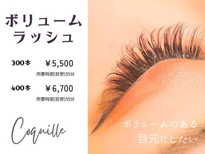 コキーユ(Coquille)の写真