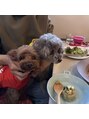 アオトスイ(aotosui)&nbsp;トイプードル2匹飼っています♪