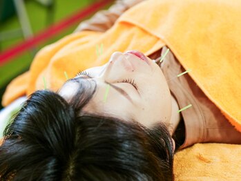 ふくろうの樹治療室/