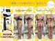 クレビア 本店(Crevia)の写真