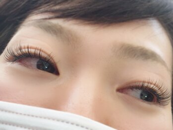 ラシェスキタモト (luscius kitamoto)/ボリュームラッシュ 140束