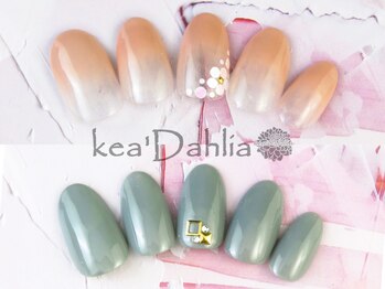 ケアダリア(kea’Dahlia)/定額コース【色/配置変更可】