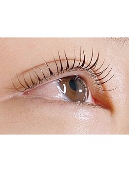 初めての方にオススメ