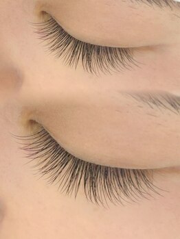 パンダアイラッシュ 上野(panda eyelash)/