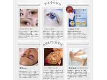 レディラッシュ(Lady Lash)