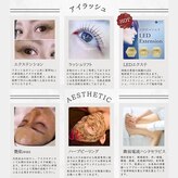レディラッシュ(Lady Lash)
