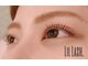 リル ラッシュ(Lil Lash.)の写真