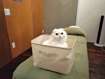 足つぼ屋 ペリドット(PERIDOT)