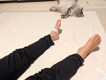 まるまる舎/魔法のテーピング