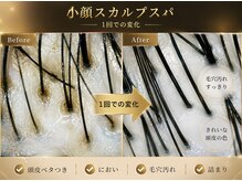ポノ 甲府本店(pono)/小顔スカルプスパ