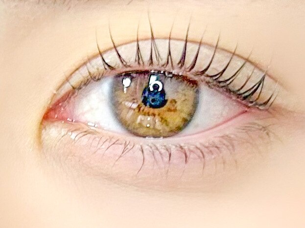 【当店1番人気☆】次世代パリジェンヌラッシュリフト \6500→\5500