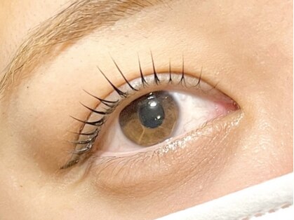 クーベルタンアイラッシュ(Coubertin eyelash)の写真