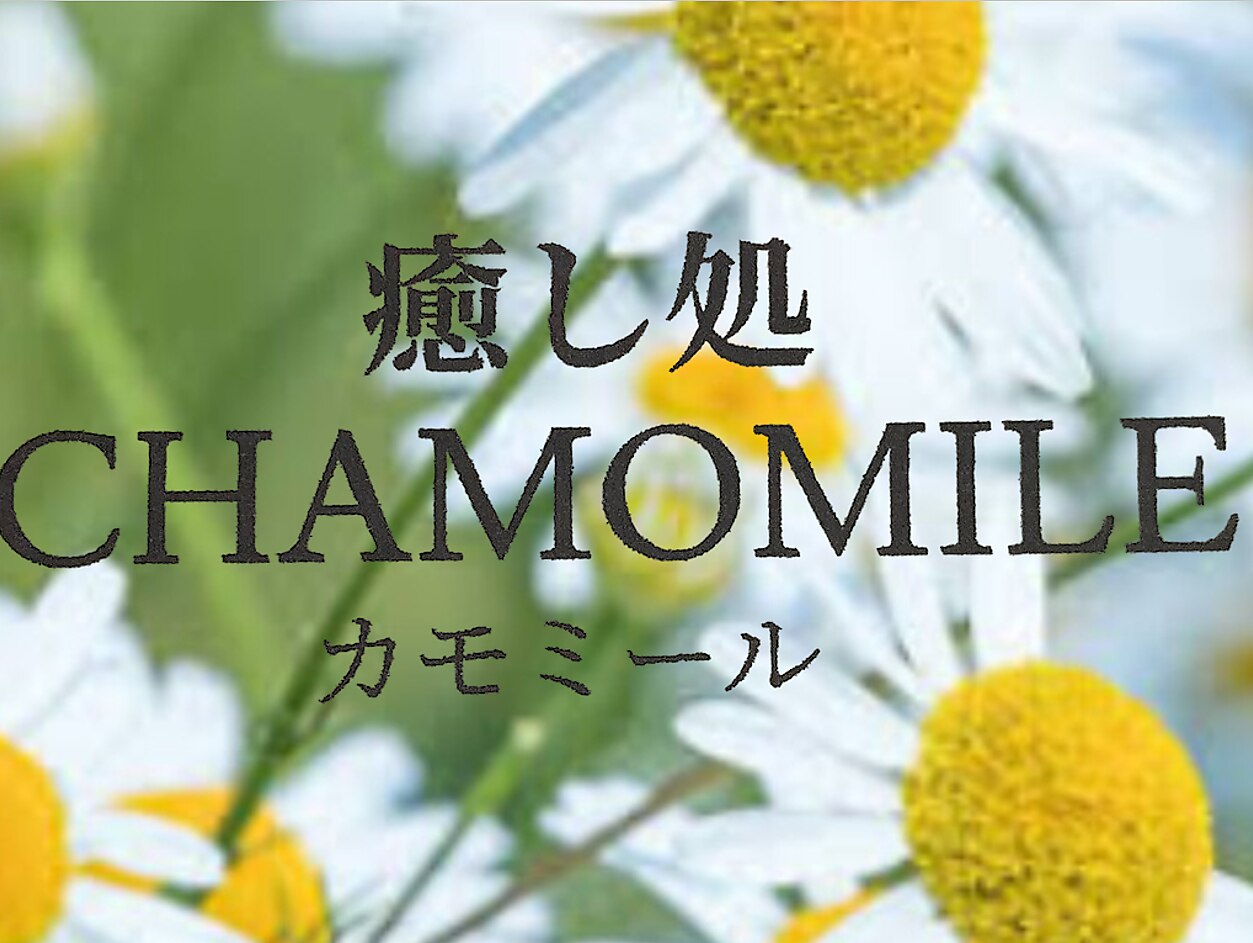 カモミールさん専用ページ カモミール 🌼 Chamomile (@chamomile_chami) / Posts / X