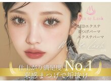 ミントラッシュ 立川店