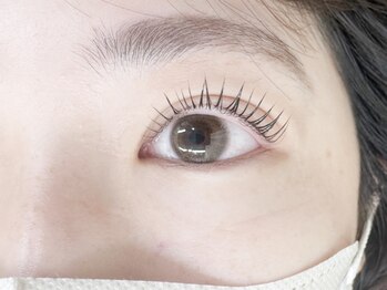 ビス(Vis)/パリジェンヌラッシュリフト