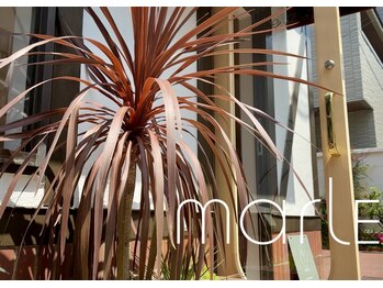 マルレ アイサロン 三軒茶屋(MARLE eyesalon)/サロンの外観