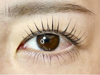 エイト 渋谷本店(eight)/上下ラッシュリフト