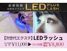 【導入キャンペーン!次世代LEDエクステ】LEDラッシュ付け放題11000円→8800円