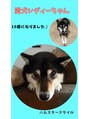 ふじた整骨院&nbsp;愛犬の写真です♪