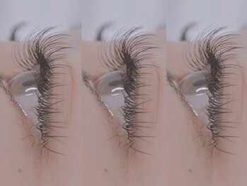 リアシー 大みか店(Liacil)の写真/羽のように軽い付け心地の【フラットラッシュ】が大人女性に高支持◎メガフラットラッシュでボリュームも♪