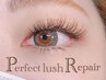◆リペア 【UW付】PerfectLash30日以内(前回オフ・付替えた方限定/1度のみ）