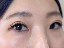 ダブル(W.)/フラットラッシュ160本