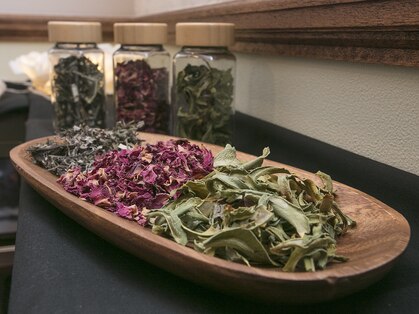 コノハナシルク(コノハナSILK)の写真