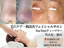 ティーツリー(Tea Tree)