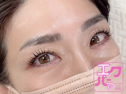リノ リノ(Lino.Lino)の写真