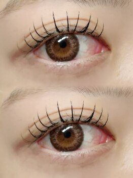 フルール(FLEUR)/フラットラッシュ120本