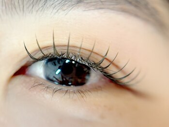 ベルアイラッシュ(Belleyelash)/【まつげエクステ】瑞江/まつげ