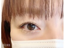 ニーチェ アイ(niche eye)/上下プランプラッシュリフト