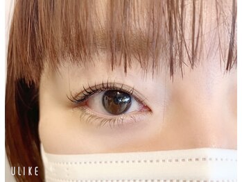 ニーチェ アイ(niche eye)/上下プランプラッシュリフト