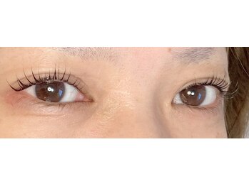 シスタス(Cistus)/ラッシュリフト