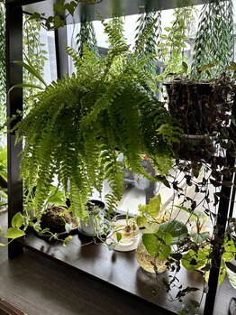 ブルーム(B.LOOM)/サロン内観