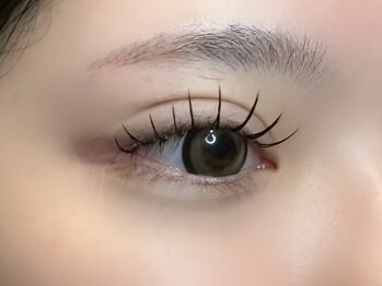 フリー#240(Free#240)/バインドロック300本