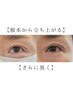 【まつ毛パーマ】【まつ毛をより濃くはっきりさせたい方必見!】6600→6200
