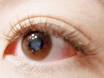 チック(chick)の写真/ナチュラルでも上品で可愛い目元へ＊自然に盛れるブラウンエクステもご用意しております◎