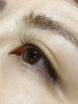 ハピネス(HAPPINESS)/ボリュームラッシュ400本