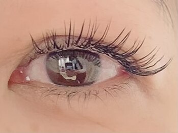 カラン 焼津店(CALIN)/フラットラッシュ180本